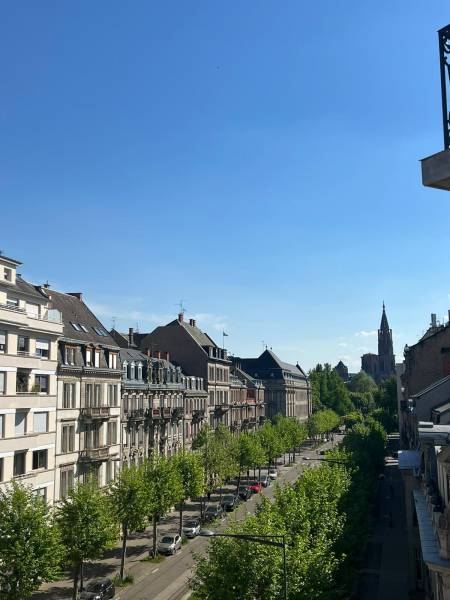 VENDU ! Appartement 6 pièces de type Haussmannien avec terrasse et vue exceptionnelle sur le Parc des Contades et les toits de Strasbourg 