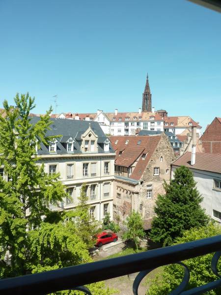 ! Grand appartement 7 pièces à proximité de la place Saint Thomas à Strasbourg 